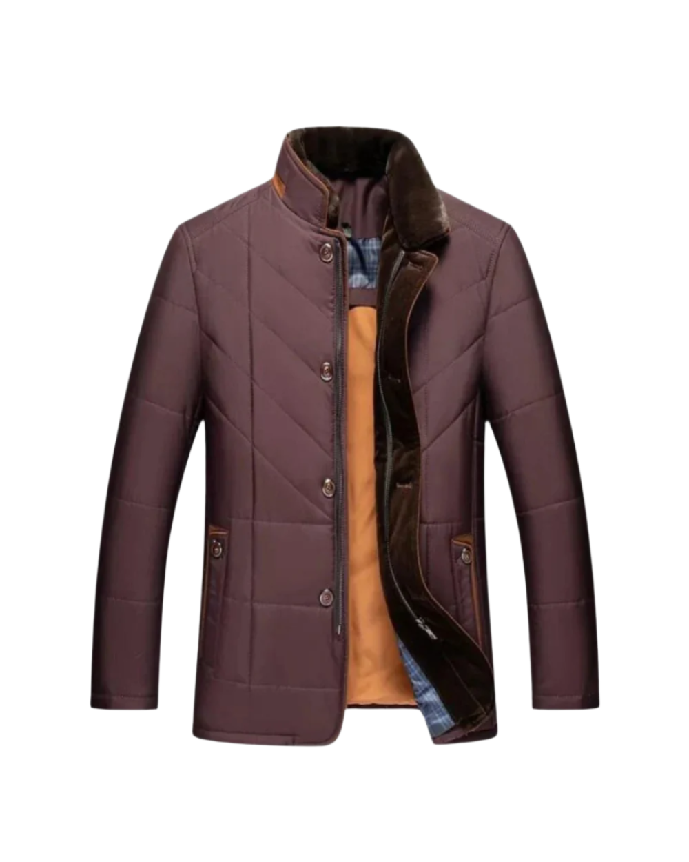 Novaya | Zachary Jacket